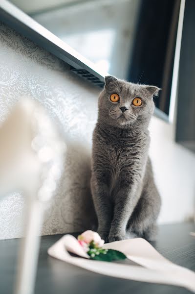 Fotografo di matrimoni Vyacheslav Sobolev (sobolevslava). Foto del 3 settembre 2018