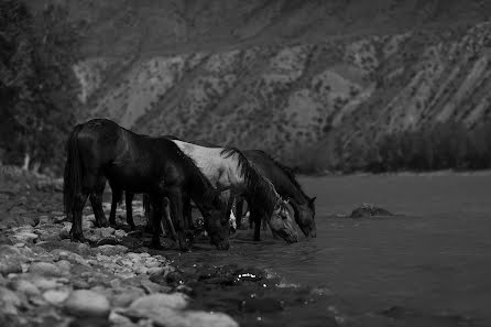 Düğün fotoğrafçısı Marina Plyukhina (marinaplux). 28 Mart 2020 fotoları