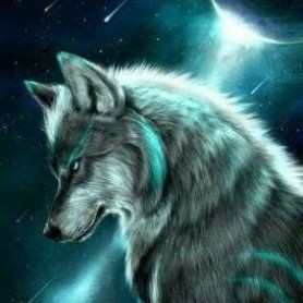 オオカミ🐺