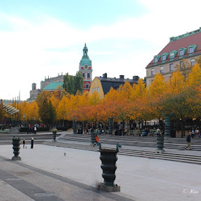 【世界の街角】四季折々の自然が美しいストックホルムの王の庭園(Kungsträdgården)を訪ねてみよう!