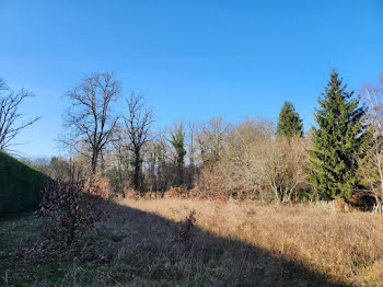 terrain à Royères (87)