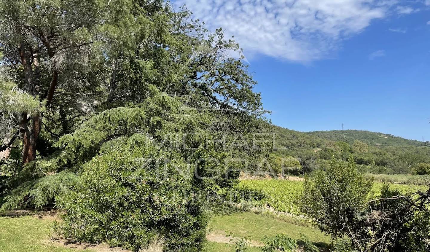 Vineyard with pool Grimaud