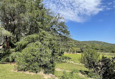 Vignoble avec piscine 3