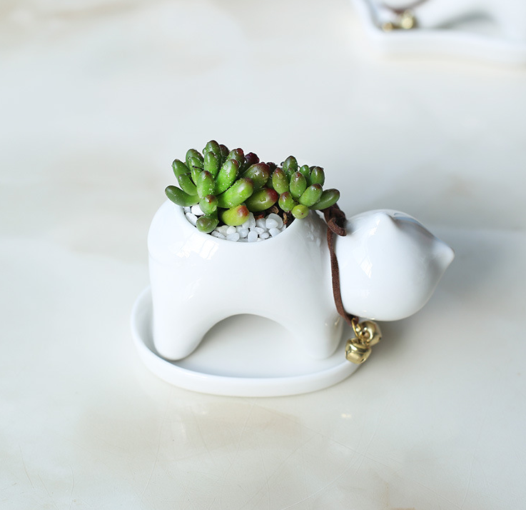Ceramic fleshy flower pot cartoon kitten green plant potted