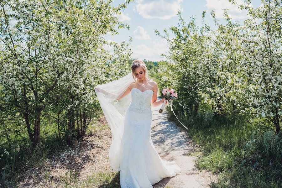 Fotografo di matrimoni Denis Osipov (svetodenru). Foto del 24 agosto 2018