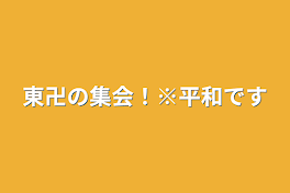 東卍の集会！※平和です