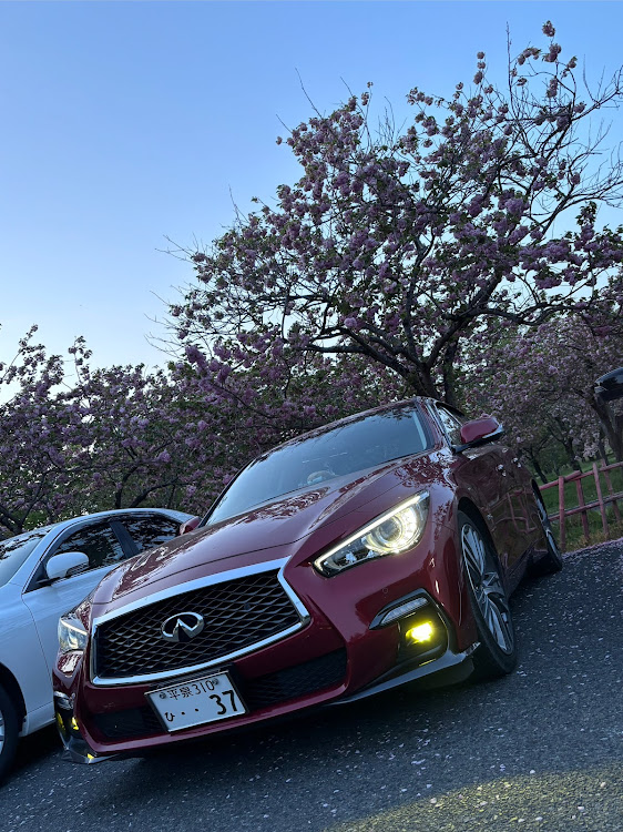 魚占🐟さんが投稿したWRX S4・マークX 130系・GW・東北カスタムカーショー2024・夢メッセみやぎに関するカスタム事例の投稿画像6枚目