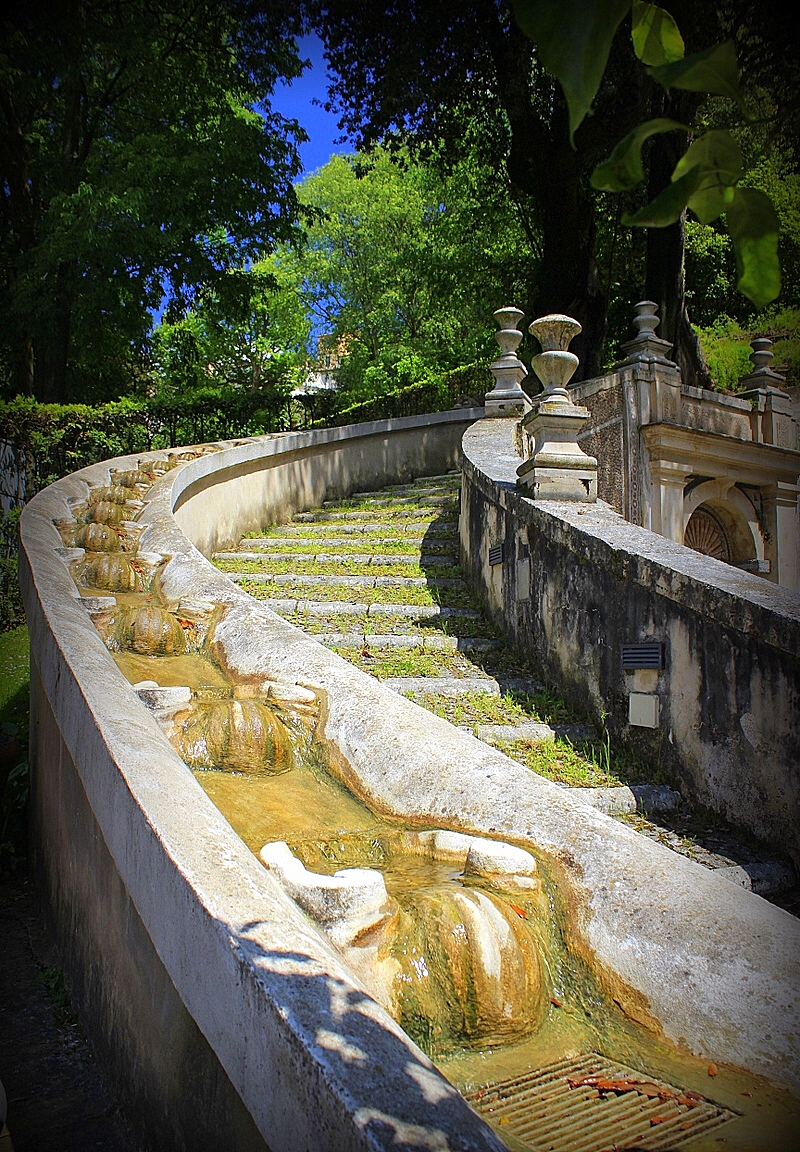 Nel giardino di Matteo90