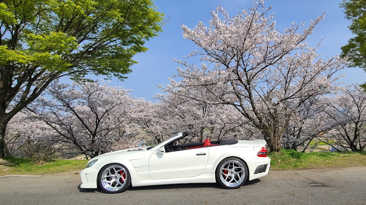 SLのR230 SL・花見・撮影びより・オープンカーシーズンに関するカスタム事例の投稿画像4枚目