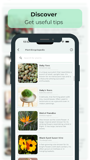 Screenshot Planter: Plant Notes and Care