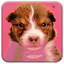 Cute Puppy Chrome extension download