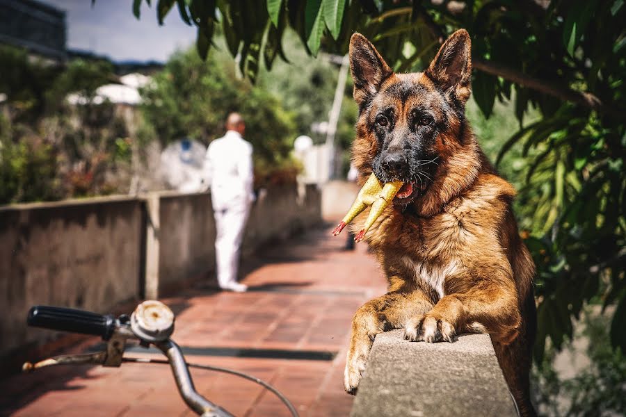 Kāzu fotogrāfs Carmelo Ucchino (carmeloucchino). Fotogrāfija: 9. aprīlis 2019