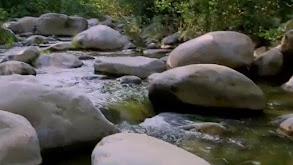 Edible Pool thumbnail