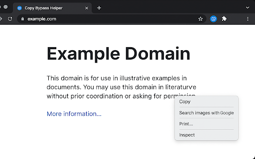 Copy Bypass Helper