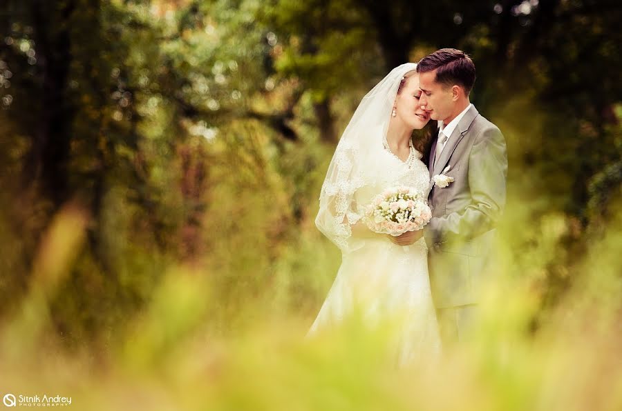 Hochzeitsfotograf Andrey Sitnik (sitnikphoto). Foto vom 1. Februar 2013