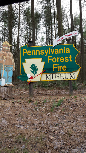 Pennsylvania Forest Fire Msm