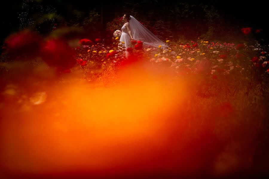 Huwelijksfotograaf Casian Podarelu (casian). Foto van 26 juli 2022