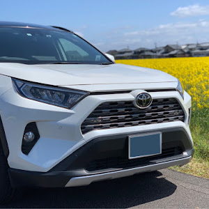 RAV4 AXAH54