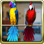 Cover Image of Download Talking Parrot Couple Free 1.6.6 APK