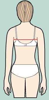 Stand with your arms relaxed at your sides.
The measurement is taken horizontally between shoulder blades, 
from and to the point where your arm meets your body 
(but not to armpit) about 4" (10 cm) from neck downwards.
