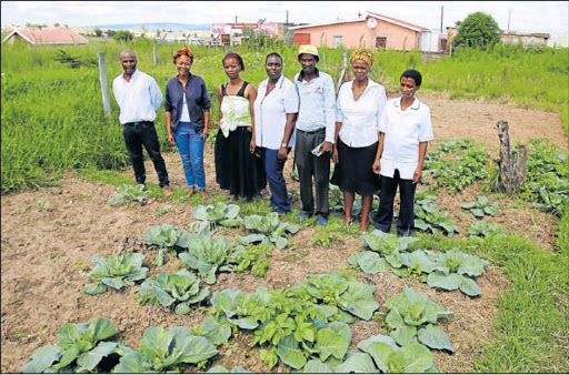 The Nceduluntu Support Group, an NPO from Ndevana, take pride in one of their vegetable gardens that they use to feed the needy, including people living with HIV/Aids, strokes and other disabilities. Picture: MICHAEL PINYANA