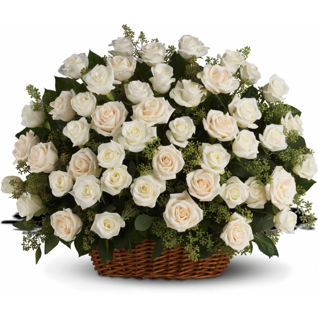 Bela korpa - 100 belih ruža