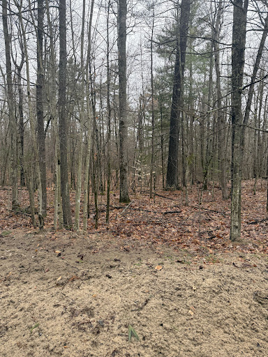 Terrain 5