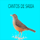 Download Melhores cantos para sabia For PC Windows and Mac