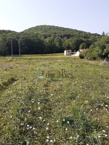 Vente terrain  1600 m² à Encausse-les-Thermes (31160), 38 000 €