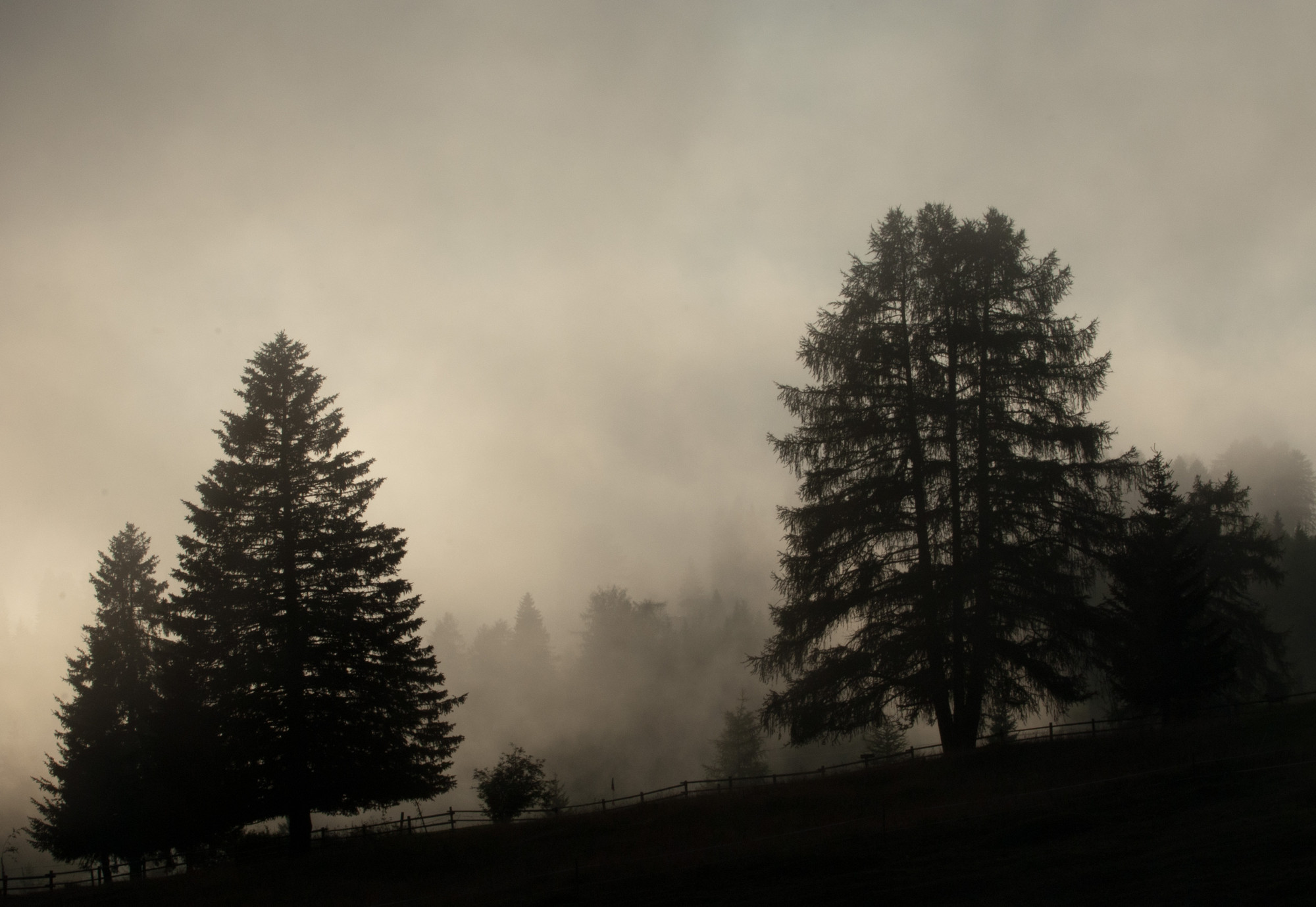 Sale la nebbia di Dotvalenti