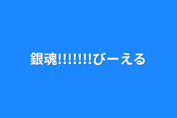 銀魂!!!!!!!びーえる