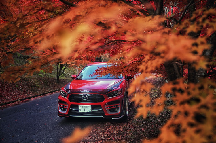 CX-5の#車夜撮影・紅葉・LEDライト撮影に関するカスタム事例の投稿画像6枚目