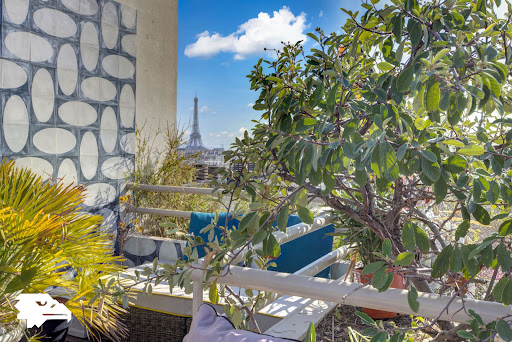 Appartement avec terrasse 5