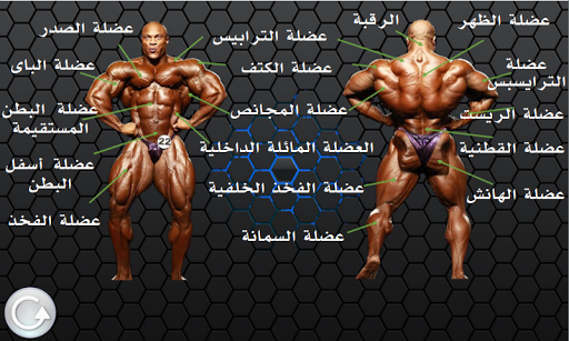 تمارين كمال الأجسام 2.3.0 screenshots 2