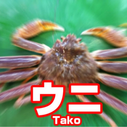 シロのプロフィール画像