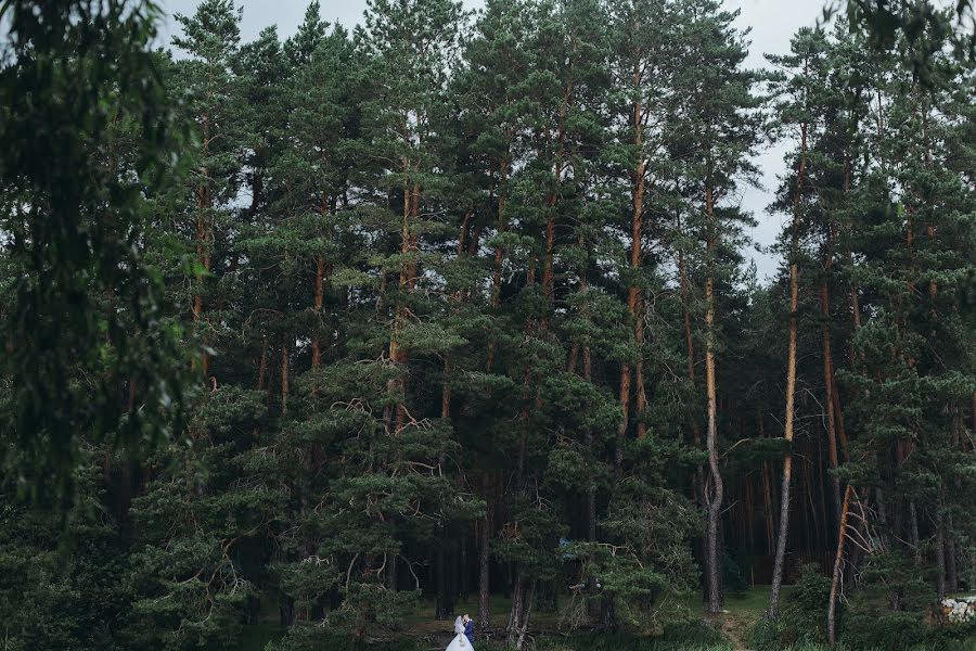 Wedding photographer Anastasiya Voskresenskaya (voskresenskaya). Photo of 8 December 2017