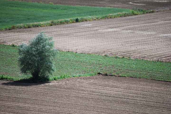 Confini rurali di sforzial