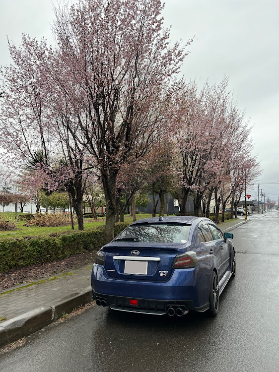WRX S4のいつもイイネ&コメントありがとうございます🙇‍♂️・5月もよろしくお願いします・ゴールデンウィーク・みんなのステアリングが見たい・お題に乗っかってみたに関するカスタム事例の投稿画像2枚目