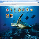 Turtle Chrome extension download