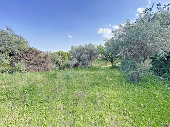 terrain à Sainte-Cécile-les-Vignes (84)