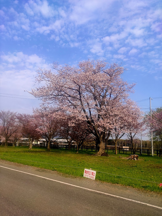 S660の北海道・いつも、いいね👍、コメント💬ありがとうございます。・きむりんオーディオ・一緒に走りませんか？・嫁企画合同走行会に関するカスタム事例の投稿画像7枚目