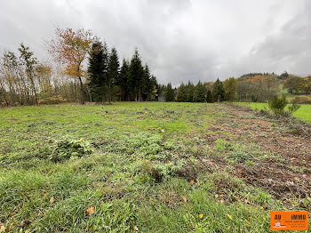 terrain à batir à Celles-sur-Durolle (63)