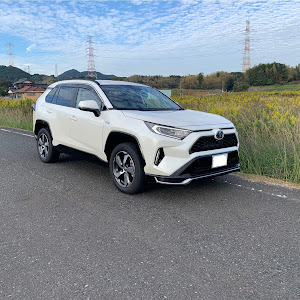 RAV4 AXAP54