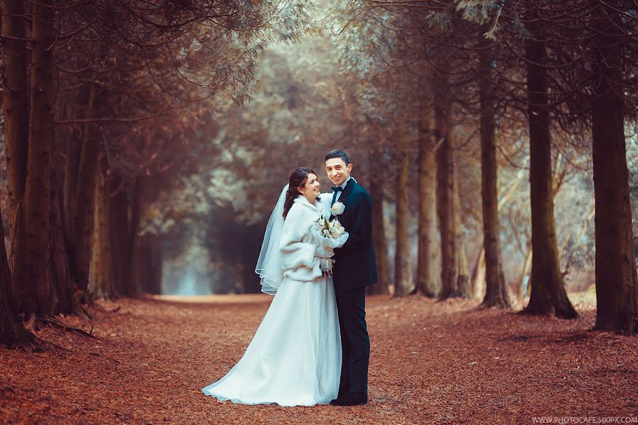 Wedding photographer Anton Kuznecov (photocafe). Photo of 13 January 2014