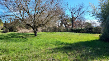 terrain à Vidauban (83)