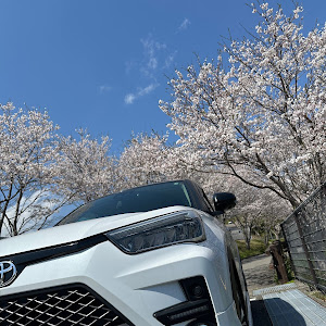 ライズ A210A