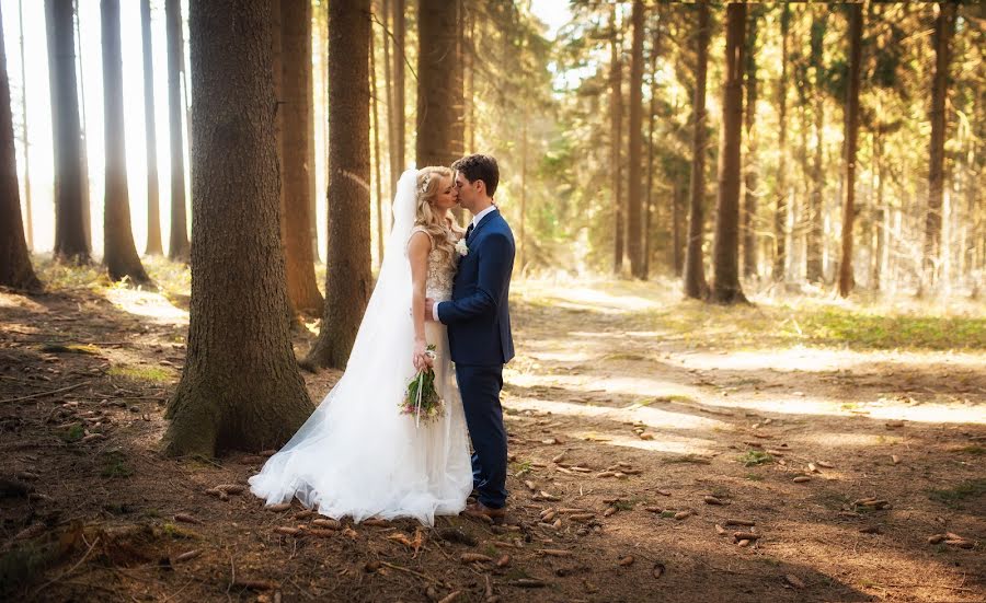 Fotógrafo de bodas Dmitriy Lisnyak (bigi). Foto del 20 de enero 2018