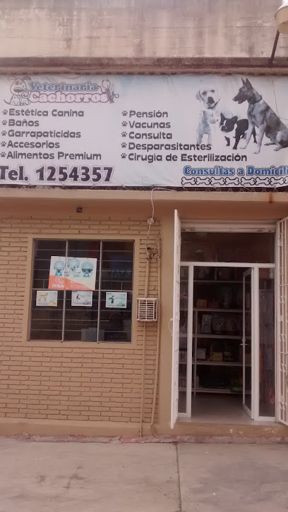 Veterinaria Cachorros