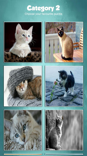 Cute Baby Cats Jigsaw Puzzle Game