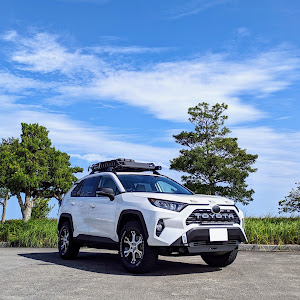 RAV4 MXAA52